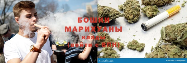 крисы Медногорск