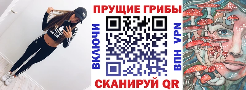 Псилоцибиновые грибы GOLDEN TEACHER  Купить закладки  Нелидово 